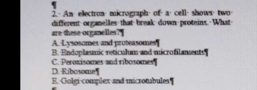 2.- An electron micrograph of a cell-shows- two-
different organelles that break down proteins. What
are these organelles
A. Lysosames and proteasomes
B. Endoplasmic reticulum and microfilaments
C. Peroxisomes and ribosomes
D. Ribosome
E-Golgi complex and microtubules