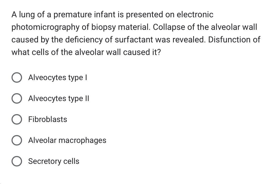 A lung of a premature infant is presented on electronic
photomicrography of biopsy material. Collapse of the alveolar wall
caused by the deficiency of surfactant was revealed. Disfunction of
what cells of the alveolar wall caused it?
Alveocytes type I
Alveocytes type II
Fibroblasts
O Alveolar macrophages
O Secretory cells