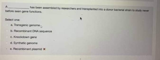 has been assembled by researchers and transplanted into a donor bacterial strain to study never
before seen gene functions.
Select one:
a Transgenic genome
b. Recombinant DNA sequence
C. Knockdown gene
d. Synthetic genome
e. Recombinant plasmid x
