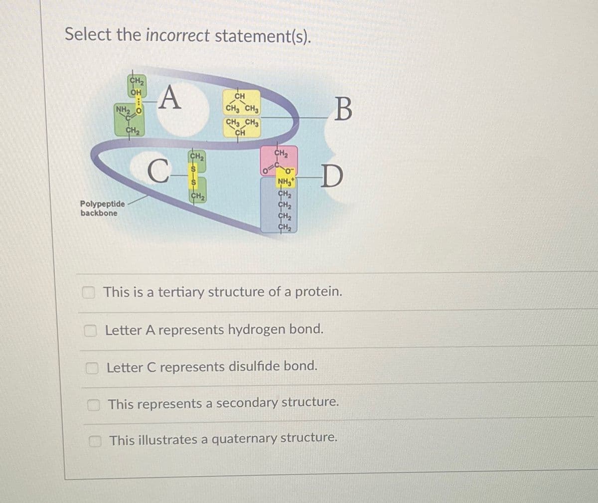 Select the incorrect statement(s).
CH₂
OH
NH₂
Polypeptide
backbone
CH₂
A
C-
CH₂
CH
CH3 CH3
CH3 CH3
CH
CH₂
NH₂
CH₂
CH₂
CH₂
CH₂
B
D
This is a tertiary structure of a protein.
Letter A represents hydrogen bond.
Letter C represents disulfide bond.
This represents a secondary structure.
This illustrates a quaternary structure.