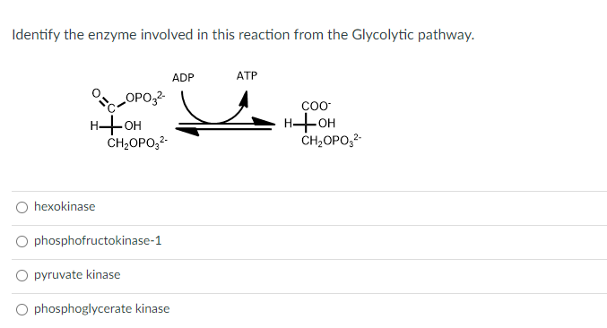 Identify the enzyme involved in this reaction from the Glycolytic pathway.
HOTH
hexokinase
OPO3²-
CH₂OPO3²-
phosphofructokinase-1
pyruvate kinase
phosphoglycerate kinase
ADP
ATP
COO
H-OH
CH₂OPO3²-