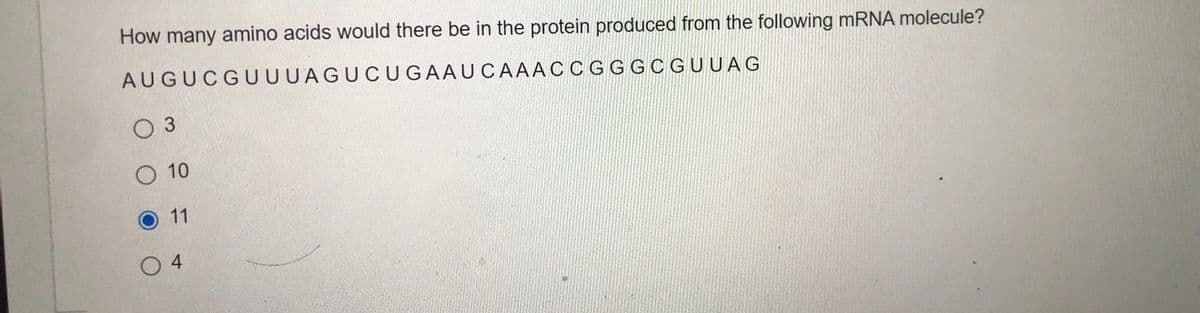 How many amino acids would there be in the protein produced from the following mRNA molecule?
AUGUCGUUUAGUCUGAAUCAAACCGGGCGUUAG
O 3
10
11
4
