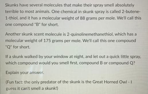Skunks have several molecules that make their spray smell absolutely
terrible to most animals. One chemical in skunk spray is called 2-butene-
1-thiol, and it has a molecular weight of 88 grams per mole. We'll call this
one compound "B" for short.
Another skunk scent molecule is 2-quinolinemethanethiol, which has a
molecular weight of 175 grams per mole. We'll call this one compound
"Q" for short.
If a skunk walked by your window at night, and let out a quick little spray,
which compound would you smell first, compound B or compound Q?
Explain your answer.
(Fun fact: the only predator of the skunk is the Great Horned Owl - I
guess it can't smell a skunk!)
