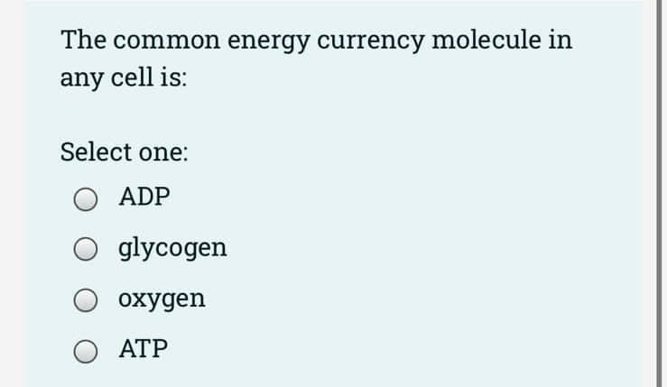 The common energy currency molecule in
any cell is:
Select one:
O ADP
O glycogen
охудen
АТР
