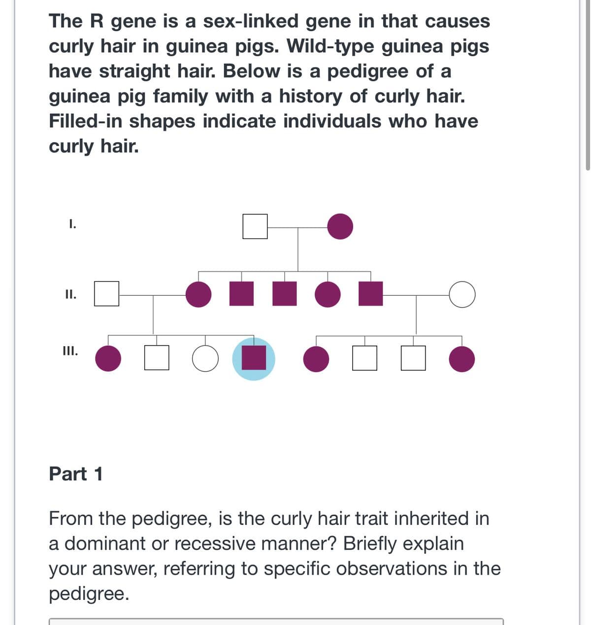 The R gene is a sex-linked gene in that causes
curly hair in guinea pigs. Wild-type guinea pigs
have straight hair. Below is a pedigree of a
guinea pig family with a history of curly hair.
Filled-in shapes indicate individuals who have
curly hair.
I.
II.
III.
Part 1
From the pedigree, is the curly hair trait inherited in
a dominant or recessive manner? Briefly explain
your answer, referring to specific observations in the
pedigree.