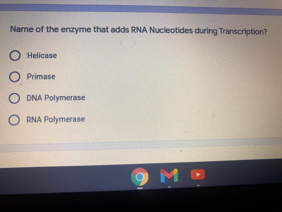 Name of the enzyme that adds RNA Nucleotides during Transcription?
O Helicase
O Primase
DNA Polymerase
O RNA Polymerase
9MD
