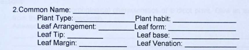 2.Common Name:
Plant Type:
Leaf Arrangement:
Leaf Tip:
Leaf Margin:
Plant habit:
Leaf form:
Leaf base:
Leaf Venation:
