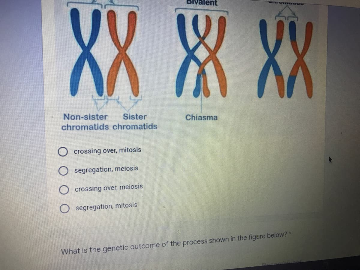 Bivalent
XXXXX
Non-sister
chromatids chromatids
Sister
Chiasma
O crossing over, mitosis
segregation, meiosis
crossing over, meiosis
segregation, mitosis
What is the genetic outcome of the process shown in the figure below? *
