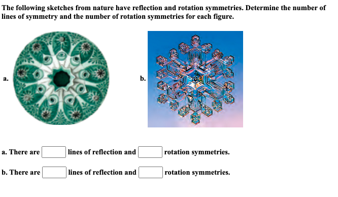 The following sketches from nature have reflection and rotation symmetries. Determine the number of
lines of symmetry and the number of rotation symmetries for each figure.
a. There are
b. There are
lines of reflection and
lines of reflection and
b.
rotation symmetries.
rotation symmetries.
