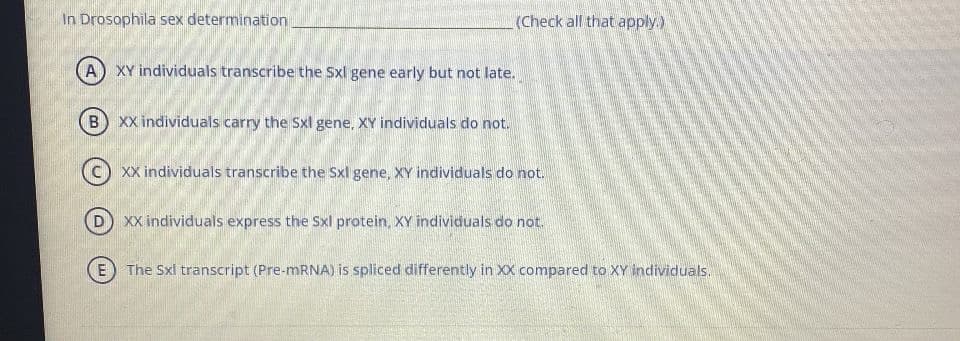 In Drosophila sex determination
(Check all that apply.)
A) XY individuals transcribe the Sxl gene early but not late.
B
XX individuals carry the Sxl gene, XY individuals do not.
XX individuals transcribe the Sxl gene, XY individuals do not.
XX individuals express the Sxl protein, XY individuals do not.
E) The Sxl transcript (Pre-MRNA) is spliced differently in XX compared to XY individuals.
