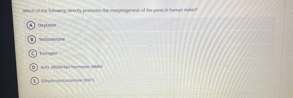 Which of the following directly promotes the morphogenesis of the penis in human males?
А) Охytocin
B) Testosterone
Estrogen
D) Anti- Müllerian hormone (AMH)
E Dihydrotestosterone (DHT)
