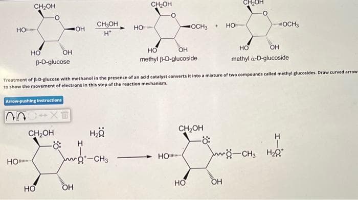 но
CH₂OH
Но
НО
anx
CH₂OH
НО
OH
CH3OH
H*
ӧ: H
OH
OH
B-D-glucose
Treatment of B-D-glucose with methanol in the presence of an acid catalyst converts it into a mixture of two compounds called methyl glucosides. Draw curved arrow
to show the movement of electrons in this step of the reaction mechanism.
Arrow-pushing Instructions
HO
H₂O
CH₂OH
Q-CH3
OCH3 + HO
OH
НО
methyl B-D-glucoside
CH₂OH
-Ö:
ний
но
НО
CH₂OH
НО
он
methyl a-D-glucoside
OH
OCH3
Н
w-CH3 H2O