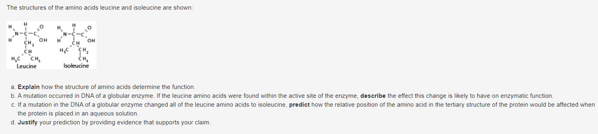 The structures of the amino acids leucine and isoleucine are shown:
H
0
OH H
CH,
CH
H₂C CH₂
Leucine
CH
H₂C
OH
CH₂
CH₂
Isoleucine
a. Explain how the structure of amino acids determine the function.
b. A mutation occurred in DNA of a globular enzyme. If the leucine amino acids were found within the active site of the enzyme, describe the effect this change is likely to have on enzymatic function.
c. If a mutation in the DNA of a globular enzyme changed all of the leucine amino acids to isoleucine, predict how the relative position of the amino acid in the tertiary structure of the protein would be affected when
the protein is placed in an aqueous solution.
d. Justify your prediction by providing evidence that supports your claim.