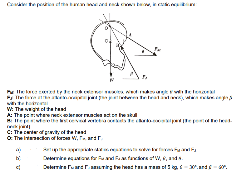 Consider the position of the human head and neck shown below, in static equilibrium:
B
FM
FJ
FM: The force exerted by the neck extensor muscles, which makes angle e with the horizontal
FJ: The force at the atlanto-occipital joint (the joint between the head and neck), which makes angle ß
with the horizontal
W: The weight of the head
A: The point where neck extensor muscles act on the skull
B: The point where the first cervical vertebra contacts the atlanto-occipital joint (the point of the head-
neck joint)
C: The center of gravity of the head
O: The intersection of forces W, FM, and FJ
a)
Set up the appropriate statics equations to solve for forces FM and FJ.
b)
Determine equations for FM and FJ as functions of W, B, and 0.
c)
Determine FM and Fj assuming the head has a mass of 5 kg, 0 = 30°, and ß = 60°.
