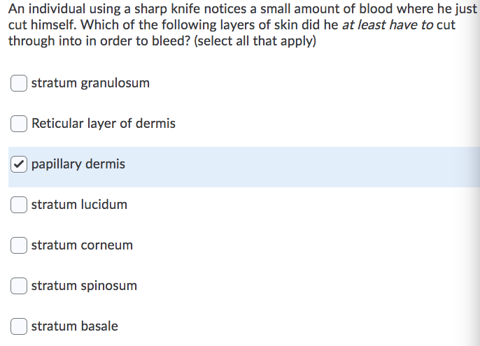 An individual using a sharp knife notices a small amount of blood where he just
cut himself. Which of the following layers of skin did he at least have to cut
through into in order to bleed? (select all that apply)
|stratum granulosum
Reticular layer of dermis
O papillary dermis
| stratum lucidum
| stratum corneum
| stratum spinosum
stratum basale
