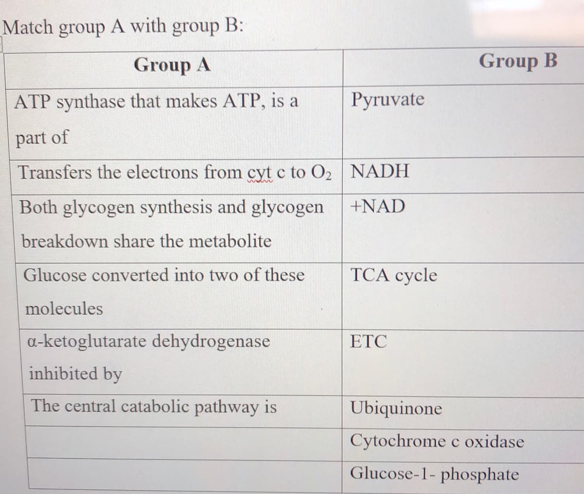 Match group A with group B:
Group A
Group B
ATP synthase that makes ATP, is a
Pyruvate
part of
Transfers the electrons from cyt c to O2 NADH
Both glycogen synthesis and glycogen
+NAD
breakdown share the metabolite
Glucose converted into two of these
ТСА суcle
molecules
a-ketoglutarate dehydrogenase
ETC
inhibited by
The central catabolic pathway is
Ubiquinone
Cytochrome c oxidase
Glucose-1- phosphate
