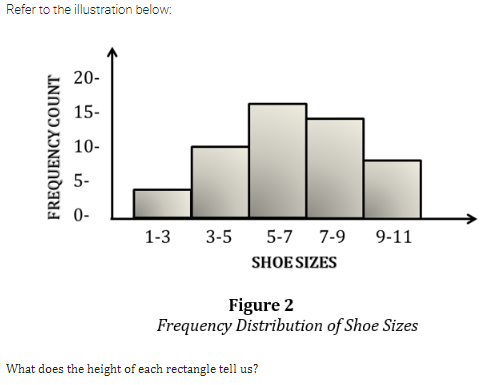 Refer to the illustration below:
20-
15-
10-
5-
0-
What does the height of each rectangle tell us?
FREQUENCY COUNT
1-3 3-5
5-7 7-9 9-11
SHOE SIZES
Figure 2
Frequency Distribution of Shoe Sizes