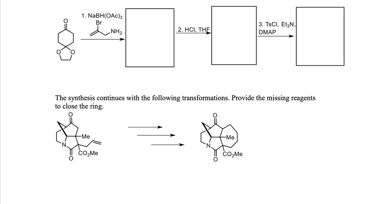 1. NaBH(OAc)3
Br
-Me
NH₂
CO₂Me
2. HCI, THE
The synthesis continues with the following transformations. Provide the missing reagents
to close the ring.
-Me
3. TsCI, Et3N₂|
DMAP
CO₂Me