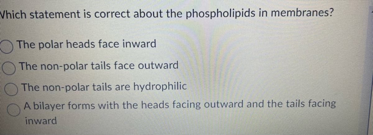 Which statement is correct about the phospholipids in membranes?
The polar heads face inward
The non-polar tails face outward
The non-polar tails are hydrophilic
A bilayer forms with the heads facing outward and the tails facing
inward