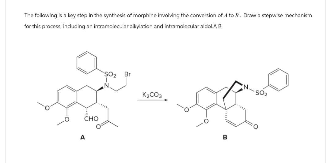 The following is a key step in the synthesis of morphine involving the conversion of A to B. Draw a stepwise mechanism
for this process, including an intramolecular alkylation and intramolecular aldol.A B
A
CHO
SO2
Br
N
K2CO3
B
N
S02