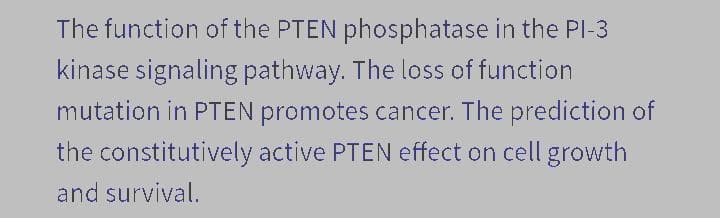 The function of the PTEN phosphatase in the Pl-3
kinase signaling pathway. The loss of function
mutation in PTEN promotes cancer. The prediction of
the constitutively active PTEN effect on cell growth
and survival.
