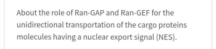 About the role of Ran-GAP and Ran-GEF for the
unidirectional transportation of the cargo proteins
molecules having a nuclear export signal (NES).
