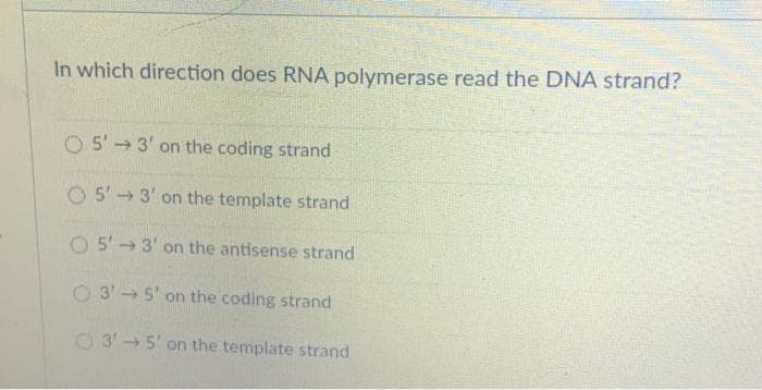 In which direction does RNA polymerase read the DNA strand?
O 5'3' on the coding strand
O 5'3' on the template strand
O5'3' on the antisense strand
O3' 5' on the coding strand
O3'5' on the template strand