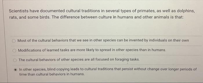 Scientists have documented cultural traditions in several types of primates, as well as dolphins,
rats, and some birds. The difference between culture in humans and other animals is that:
Most of the cultural behaviors that we see in other species can be invented by individuals on their own
Modifications of learned tasks are more likely to spread in other species than in humans.
The cultural behaviors of other species are all focused on foraging tasks.
In other species, blind copying leads to cultural traditions that persist without change over longer periods of
time than cultural behaviors in humans.
