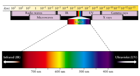(m) 103 102 101 1 101 102 103 104 105 106 107 10-8 10-9 10-10 10-11 10-12 10-13
Infrared (IR)
Radio waves
Microwaves
IR
UV
Gamma rays
X rays
Visible
700 nm
600 nm
500 nm
400 nm
Ultraviolet (UV)