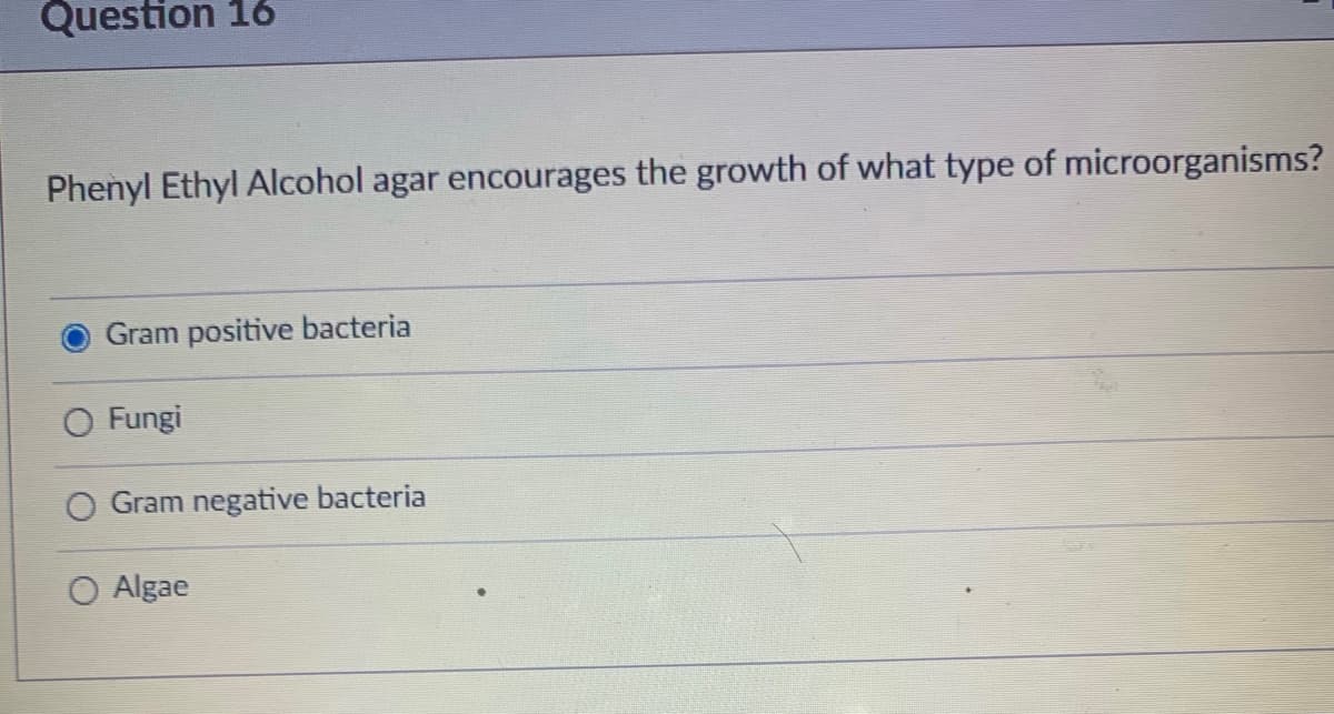 Question 16
Phenyl Ethyl Alcohol agar encourages the growth of what type of microorganisms?
Gram positive bacteria
O Fungi
Gram negative bacteria
O Algae
