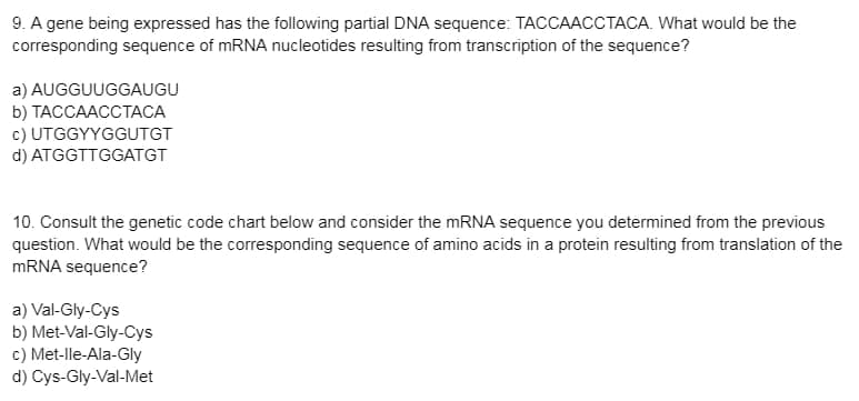 9. A gene being expressed has the following partial DNA sequence: TACCAACCTACA. What would be the
corresponding sequence of MRNA nucleotides resulting from transcription of the sequence?
a) AUGGUUGGAUGU
b) ТАССААССТАСА
c) UTGGYYGGUTGT
d) ATGGTTGGATGT
10. Consult the genetic code chart below and consider the MRNA sequence you determined from the previous
question. What would be the corresponding sequence of amino acids in a protein resulting from translation of the
MRNA sequence?
a) Val-Gly-Cys
b) Met-Val-Gly-Cys
c) Met-lle-Ala-Gly
d) Cys-Gly-Val-Met
