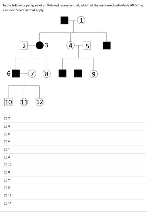 In the following pedigree of an X-linked recessive trait, which of the numbered individuals MUST be
carriers? Select all that apply.
1)
2
3
7 8
6
10
07
6
01
2
10
8
9
5
12
00
3
0
11
(11 12
4)
LO
5
9