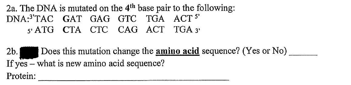 2a. The DNA is mutated on the 4th base pair to the following:
DNA:3'TAC GAT GAG GTC TGA ACT 5
5' ATG CTA CTC CAG ACT TGA 3
2b.
Does this mutation change the amino acid sequence? (Yes or No)
If yes – what is new amino acid sequence?
Protein:

