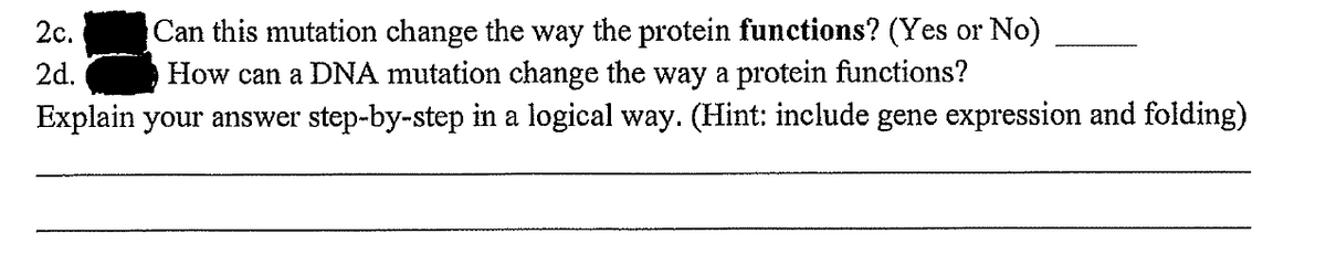 Can this mutation change the way the protein functions? (Yes or No)
How can a DNA mutation change the way a protein functions?
Explain your answer step-by-step in a logical way. (Hint: include gene expression and folding)
2c.
2d.
