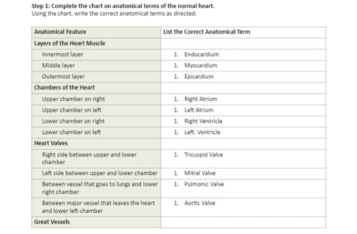 Step 1: Complete the chart on anatomical terms of the normal heart.
Using the chart, write the correct anatomical terms as directed.
Anatomical Feature
Layers of the Heart Muscle
Innermost layer
Middle layer
Outermost layer
Chambers of the Heart
Upper chamber on right
Upper chamber on left
Lower chamber on right
Lower chamber on left
Heart Valves
Right side between upper and lower
chamber
Left side between upper and lower chamber
Between vessel that goes to lungs and lower
right chamber
Between major vessel that leaves the heart
and lower left chamber
Great Vessels
List the Correct Anatomical Term
1. Endocardium
1. Myocardium
1. Epicardium
1. Right Atrium
1. Left Atrium
1.
1.
Right Ventricle
Left. Ventricle
1. Tricuspid Valve
1. Mitral Valve
1. Pulmonic Valve
1. Aortic Valve