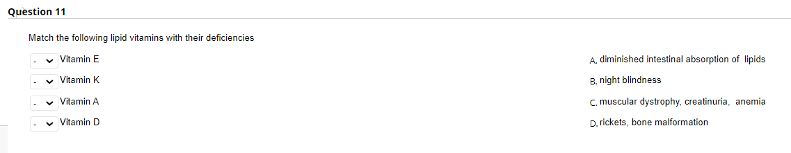 Question 11
Match the following lipid vitamins with their deficiencies
v Vitamin E
A. diminished intestinal absorption of lipids
v Vitamin K
B. night blindness
Vitamin A
C, muscular dystrophy, creatinuria, anemia
v Vitamin D
D. rickets, bone malformation
