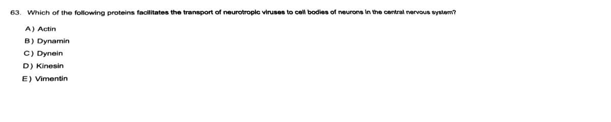 63. Which of the following proteins facilitates the transport of neurotropic viruses to cell bodies of neurons in the central nervous system?
A) Actin
B) Dynamin
C) Dynein
D) Kinesin
E) Vimentin