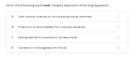 Which of the following would most indicate a dysfunction of the Golgi apparatus?
A Small nonpolar molecules will not move across the cell membrane.
B
с
D
Proteins will not be synthesized from nucleic acid sequences.
Particles destined for exocytosis will not leave the cell.
Nutrients will not be digested within the cell.
