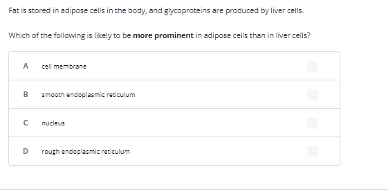 Fat is stored in adipose cells in the body, and glycoproteins are produced by liver cells.
Which of the following is likely to be more prominent in adipose cells than in liver cells?
A
B
с
D
cell membrane
smooth endoplasmic reticulum
nucleus
rough endoplasmic reticulum