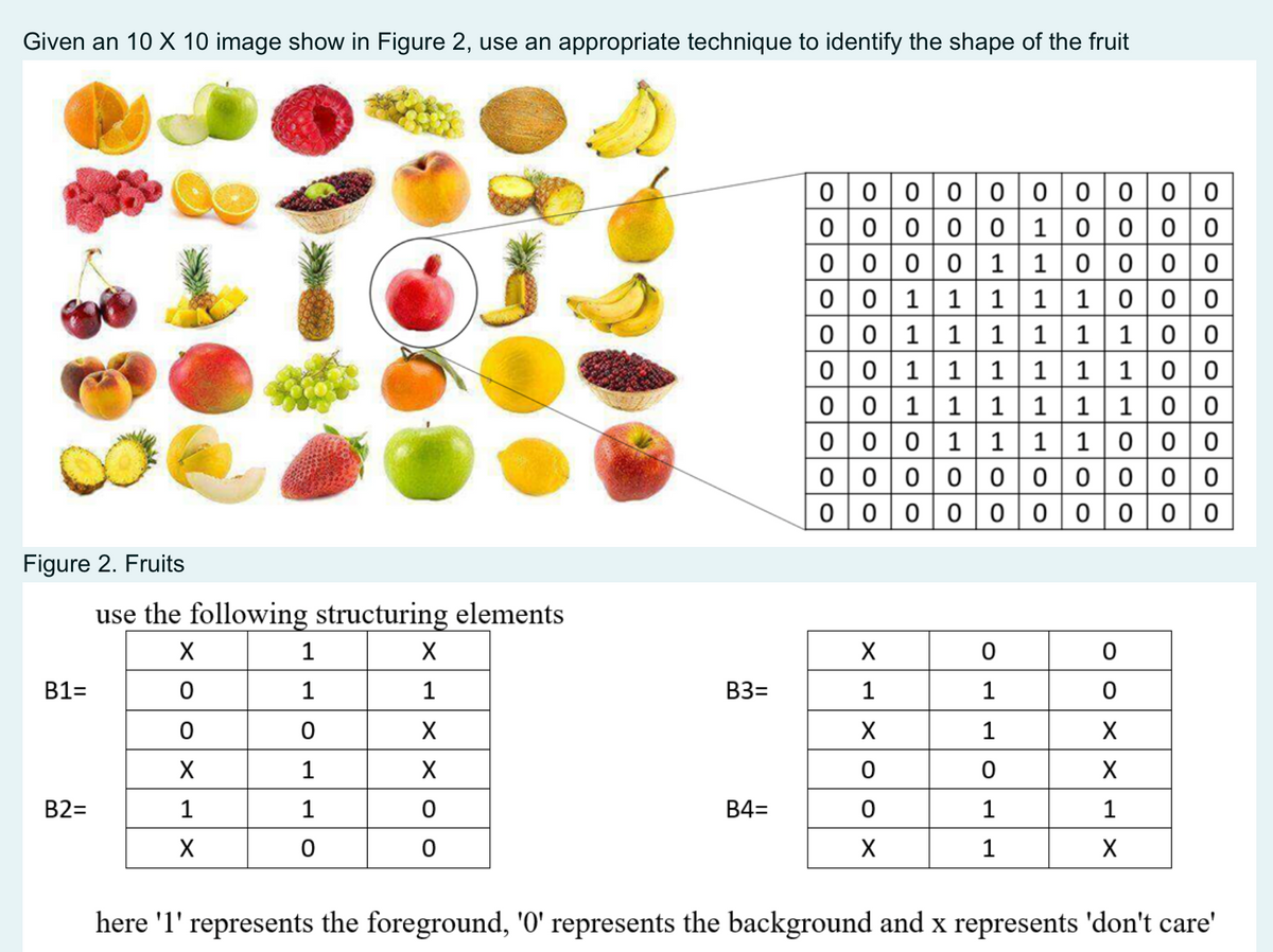 Given an 10 X 10 image show in Figure 2, use an appropriate technique to identify the shape of the fruit
Figure 2. Fruits
B1=
B2=
use the following structuring elements
X
0
0
X
1
X
1
1
0
1
1
0
X
1
X
X
0
0
B3=
B4=
0000000000
00000 10000
0 0 0 1 1 0 0 0 0
1000
1
1
1 1
1 1 0 0
1
1
1
1 0 0
0 1 1 1
1 1
1
0 0
0 0 1 1 1 1 0 0 0
0
0 0 1 1
0 0 1 1
0 0 1 1
0
0
0000000000
0000000000
X
1
X
0
0
X
0
1
1
0
1
1
0
0
X
X
1
X
here '1' represents the foreground, '0' represents the background and x represents 'don't care'