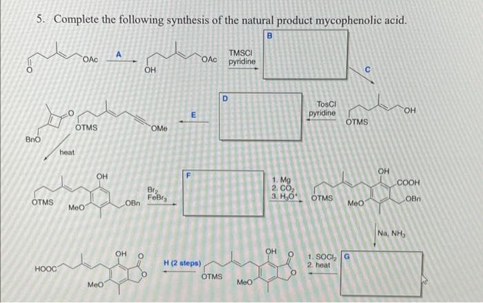 5. Complete the following synthesis of the natural product mycophenolic acid.
TMSCI
OAC pyridine
A
OAC
OH
D
TosCl
pyridine
HO.
OTMS
OTMS
OMe
Bno
heat
OH
1. Mg
2. Cô,
3. H,O
.COOH
Brz
FeBra
ÓTMS
OBn
OTMS
Meo
OBn
Мео
Na, NH,
OH
OH
H (2 steps)
1. SOCI, G
2. heat
HOOC
OTMS
Meo
Meo
