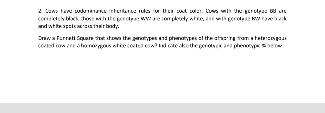 2. Cows have codominance inheritance rules for their coat color. Cows with the genotype BB are
completely black, those with the genotype WW are completely white, and with genotype BW have black
and white spots across their body.
Draw a Punnett Square that shows the genotypes and phenotypes of the offspring from a heterozygous
coated cow and a homozygous white coated cow? Indicate also the genotypic and phenotypic % below:
