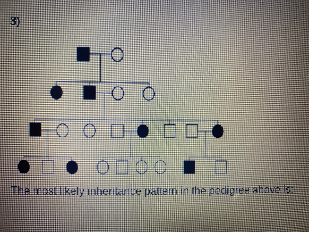3)
The most likely inheritance pattern in the pedigree above is:
