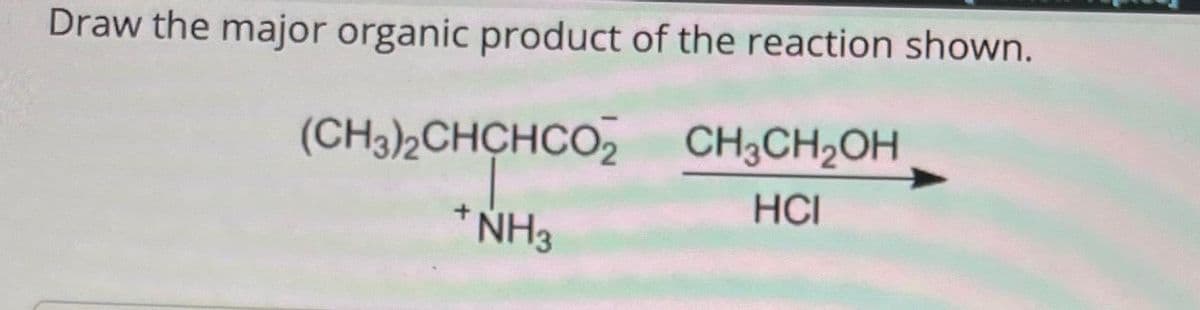 Draw the major organic product of the reaction shown.
CH3CH₂OH
HCI
(CH3)2CHCHCO₂
+ NH3
