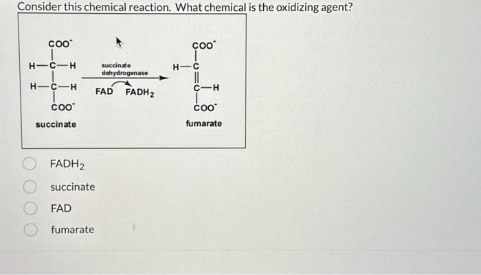Consider this chemical reaction. What chemical is the oxidizing agent?
COO™
HIC-H
HIC-H FAD FADH₂
COO™
succinate
FADH2
succinate
FAD
fumarate
succinate
dehydrogenase
COO™
H-C
-H
COO
fumarate