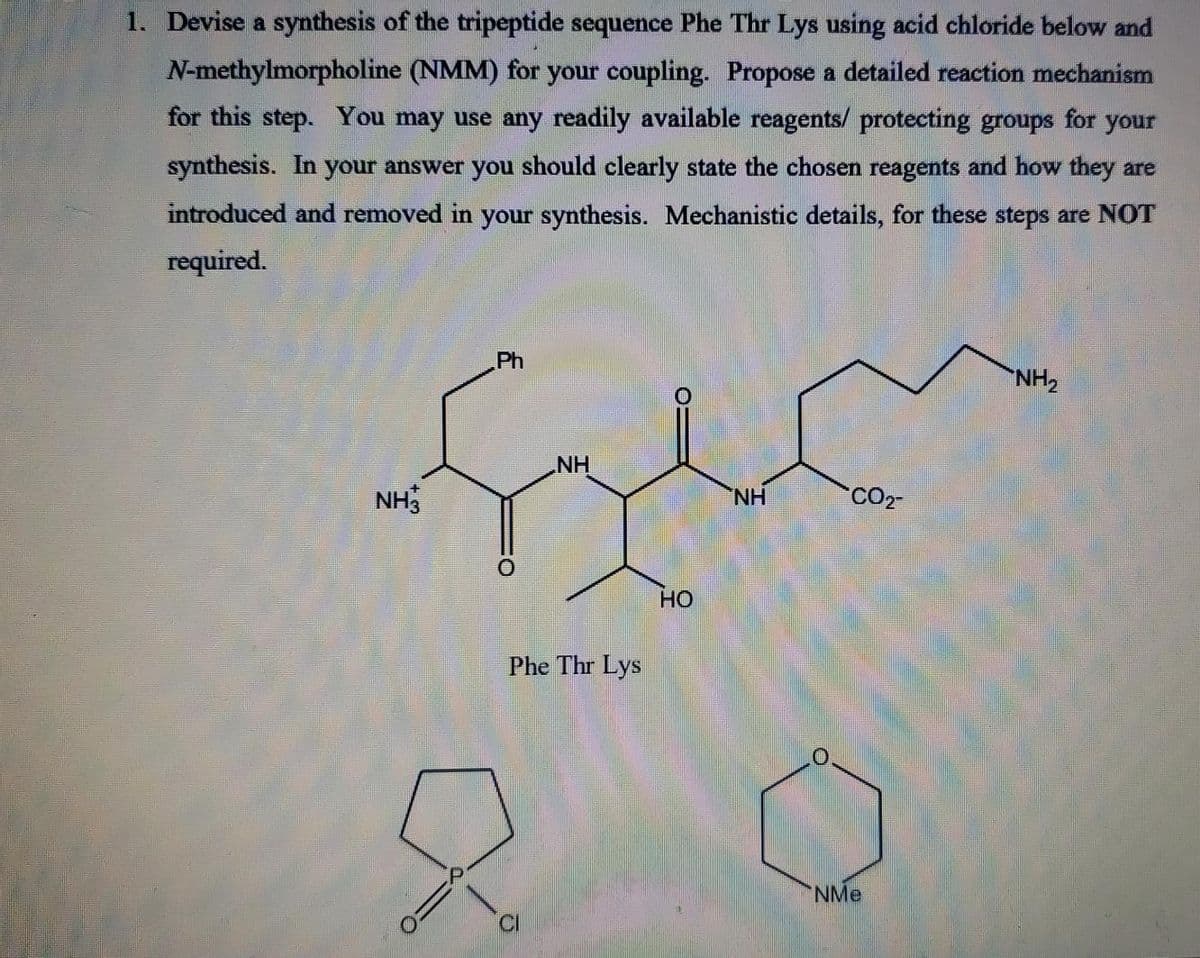 1. Devise a synthesis of the tripeptide sequence Phe Thr Lys using acid chloride below and
N-methylmorpholine (NMM) for your coupling. Propose a detailed reaction mechanism
for this step. You may use any readily available reagents/ protecting groups for your
synthesis. In your answer you should clearly state the chosen reagents and how they are
introduced and removed in your synthesis. Mechanistic details, for these steps are NOT
required.
Ph
NH2
NH
NH
NH
CO2
но
Phe Thr Lys
'NMe

