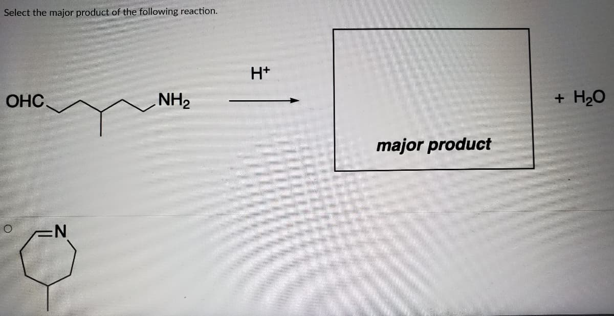 Select the major product of the following reaction.
H+
ОНС.
NH2
H2O
major product
