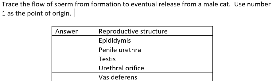 Trace the flow of sperm from formation to eventual release from a male cat. Use number
1 as the point of origin.
Answer
Reproductive structure
Epididymis
Penile urethra
Testis
Urethral orifice
Vas deferens
