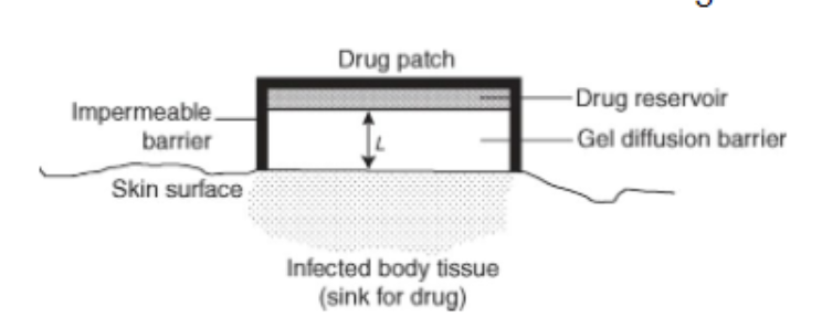 Impermeable.
barrier
Skin surface
Drug patch
Infected body tissue
(sink for drug)
-Drug reservoir
-Gel diffusion barrier
