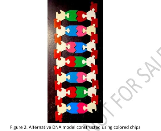 Figure 2. Alternative DNA model constructed using colored chips
T FOR SALS
